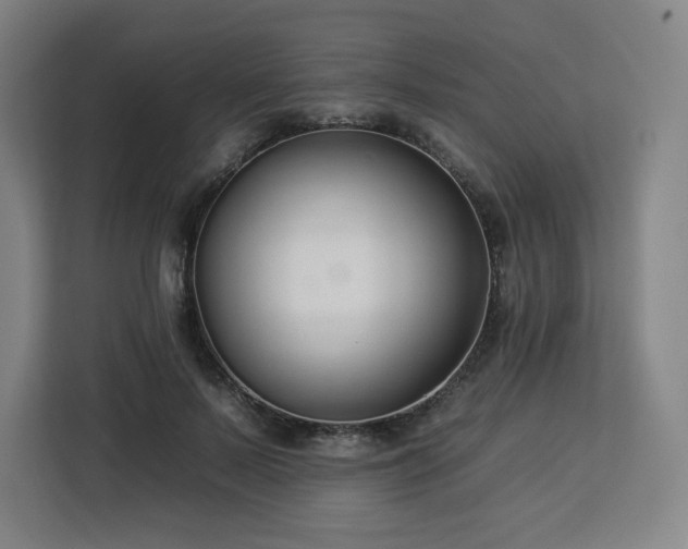 X0000112930695200908311318