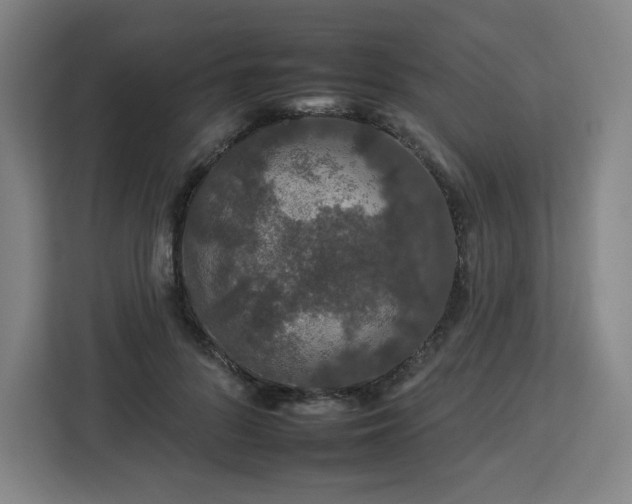 X0000112930696200908311318