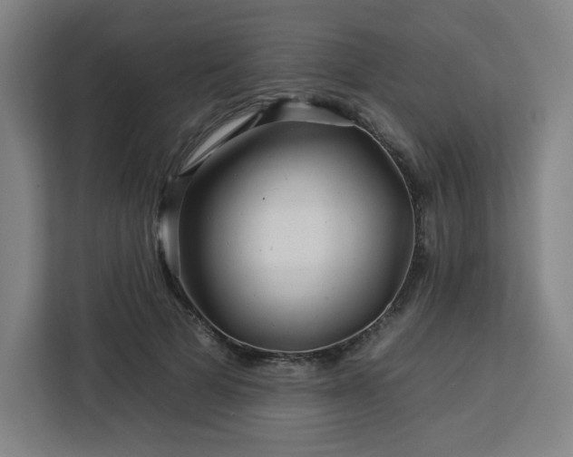 X0000112930697200908311318