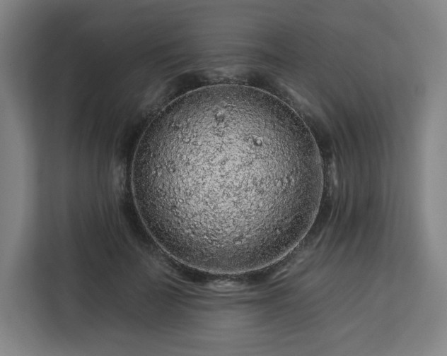 X0000112930699200908311318