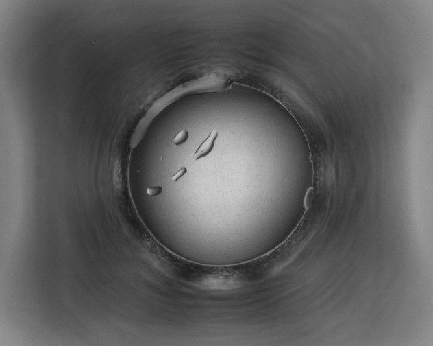 X0000112930700200908311318