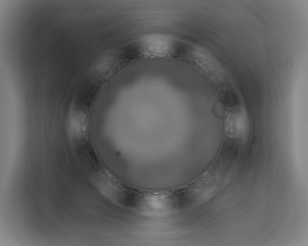 X0000112930701200908311318