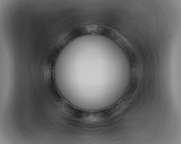 X0000112930702200908311318