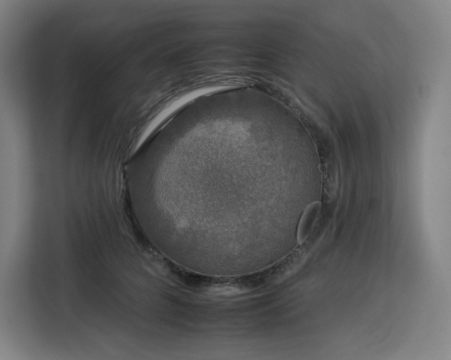 X0000112930704200908311318