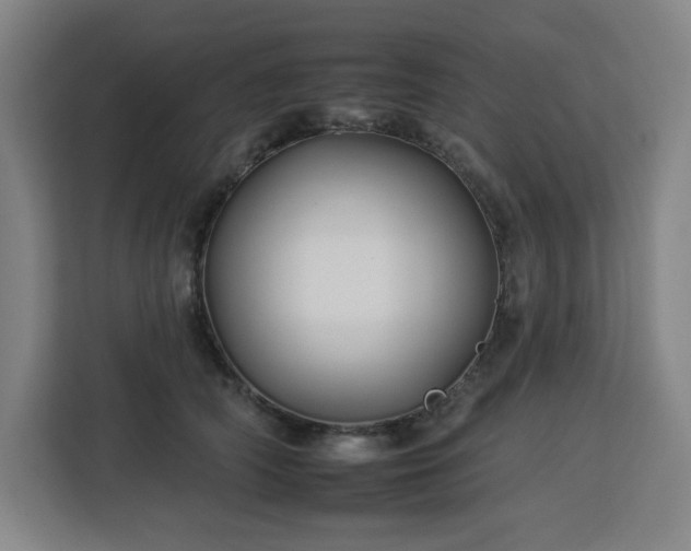 X0000112930706200908311317