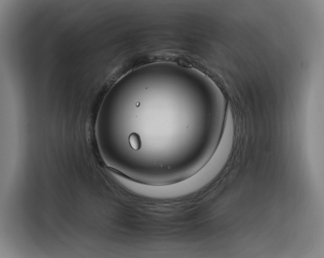 X0000112930708200908311317