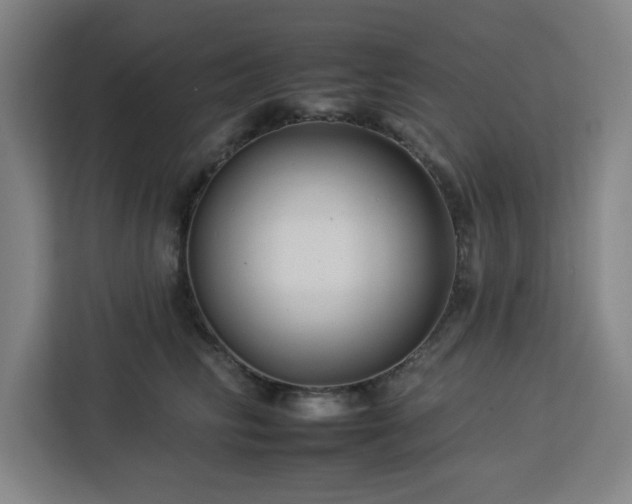 X0000112930710200908311317