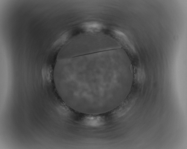 X0000112930712200908311317