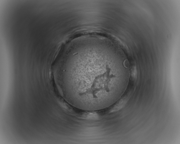 X0000112930715200908311317