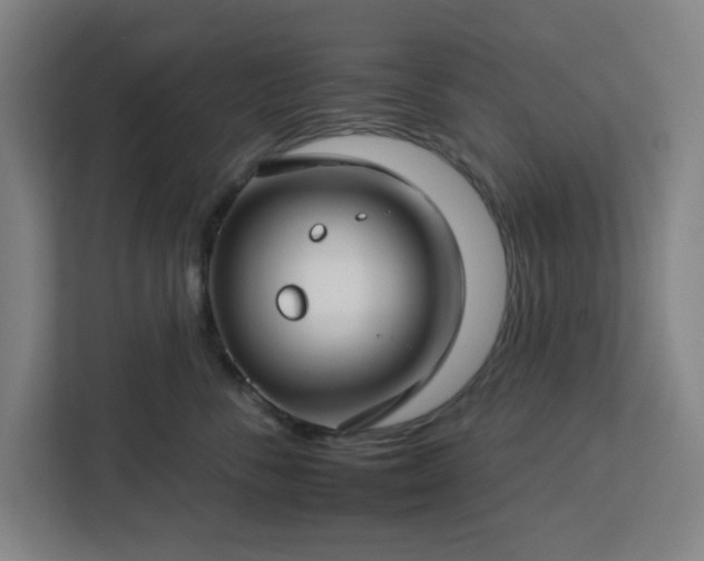 X0000112930716200908311317