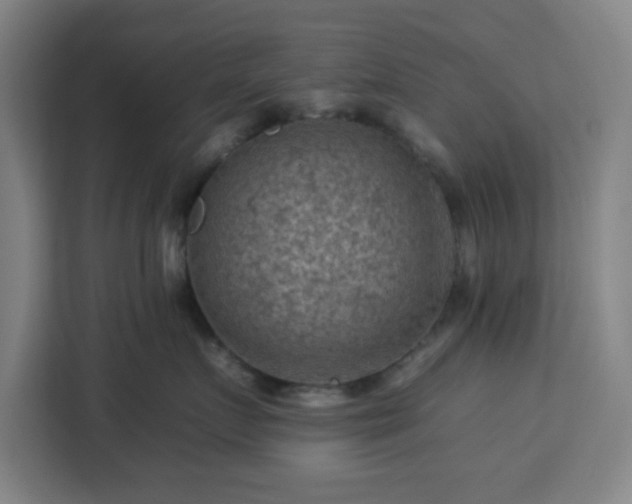 X0000112930719200908311317