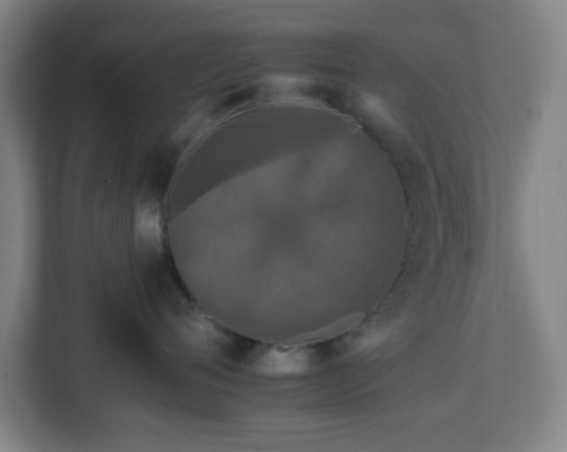 X0000112930720200908311317