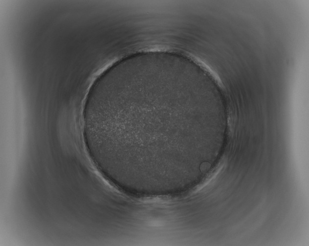 X0000112930721200908311317