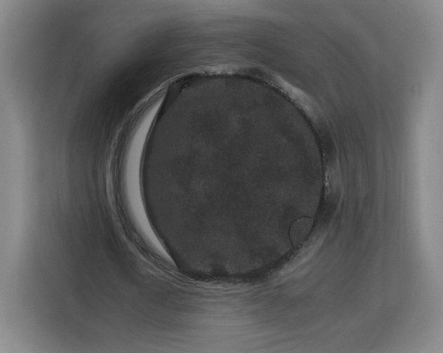 X0000112930722200908311317