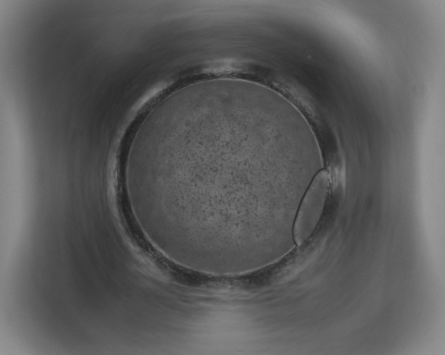 X0000112930724200908311317