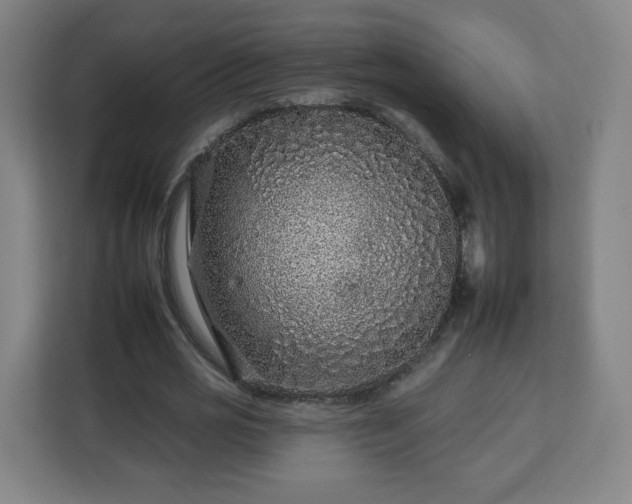 X0000112930725200908311317