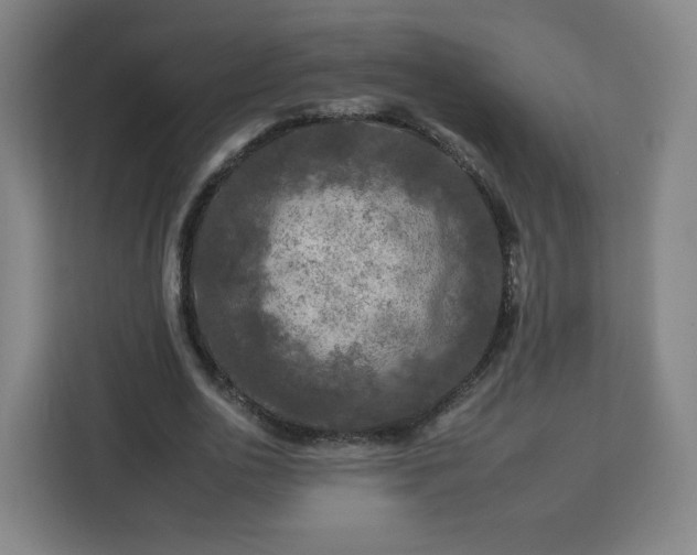 X0000112930726200908311317