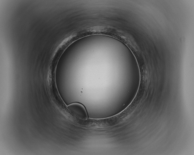 X0000112930727200908311317