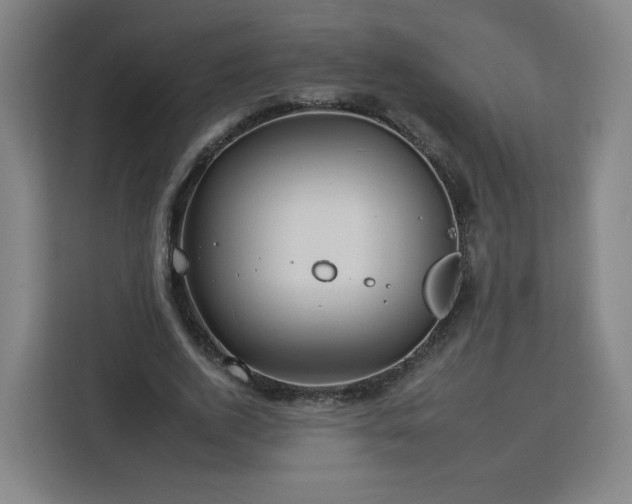 X0000112930728200908311317