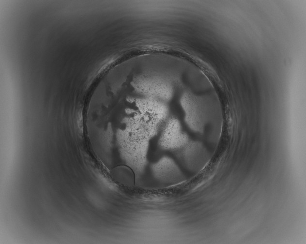 X0000112930729200908311317