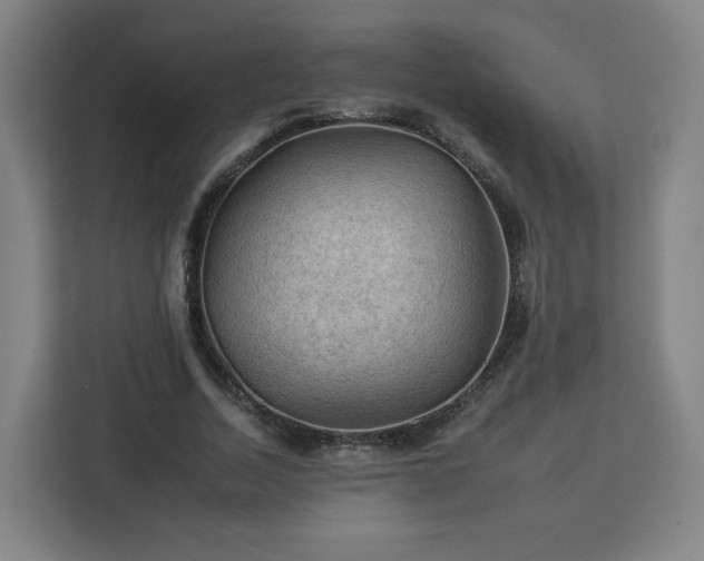 X0000112930730200908311317