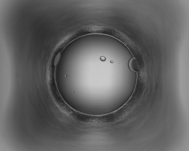 X0000112930732200908311317