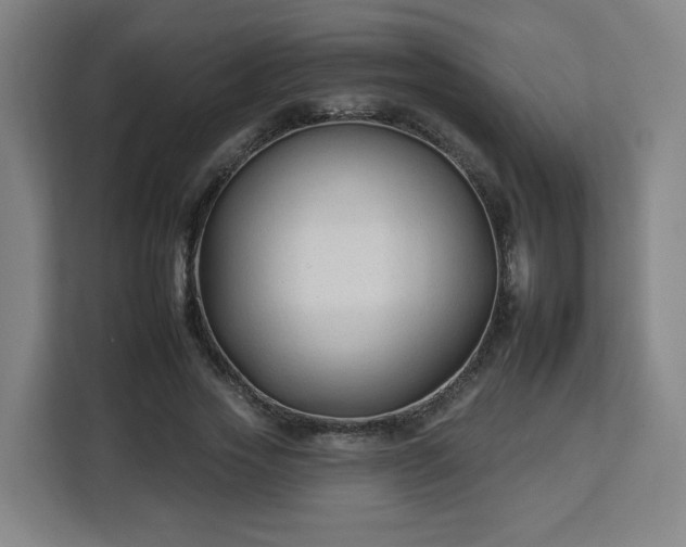 X0000112930733200908311317