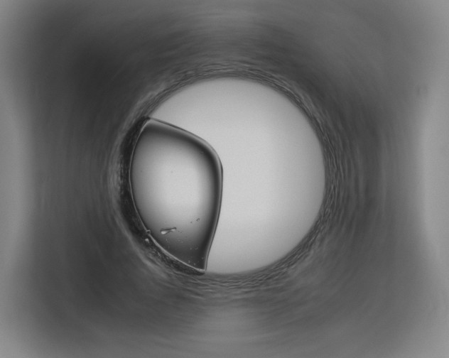 X0000112930736200908311317