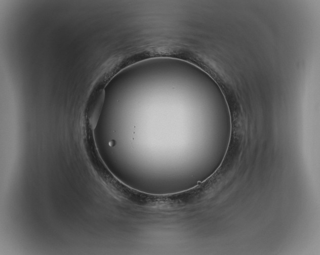 X0000112930738200908311317