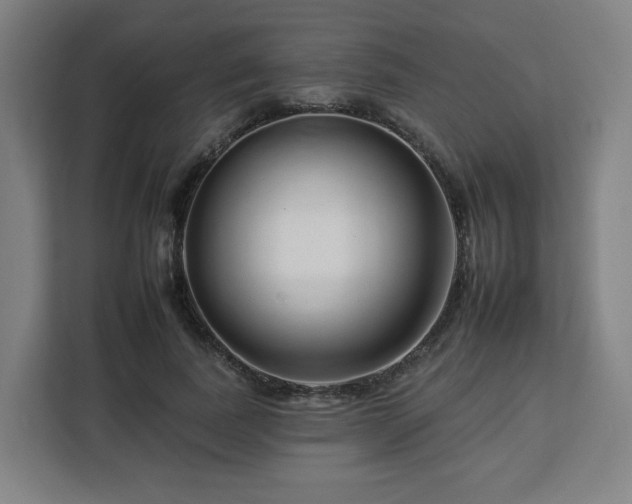 X0000112930739200908311317