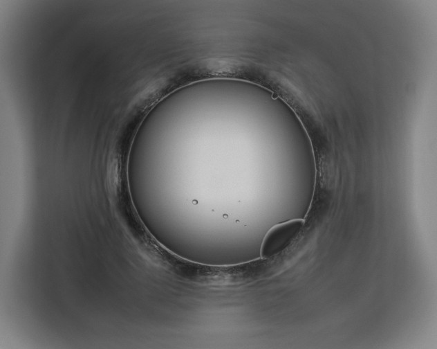 X0000112930740200908311317