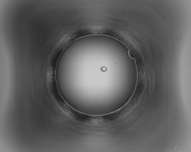 X0000112930744200908311317