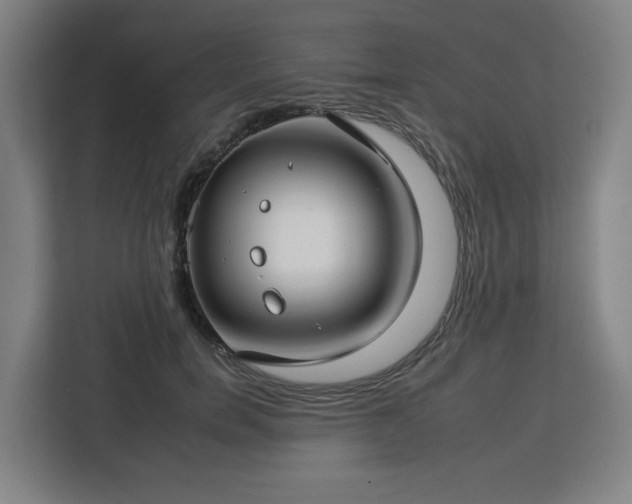 X0000112930750200908311317