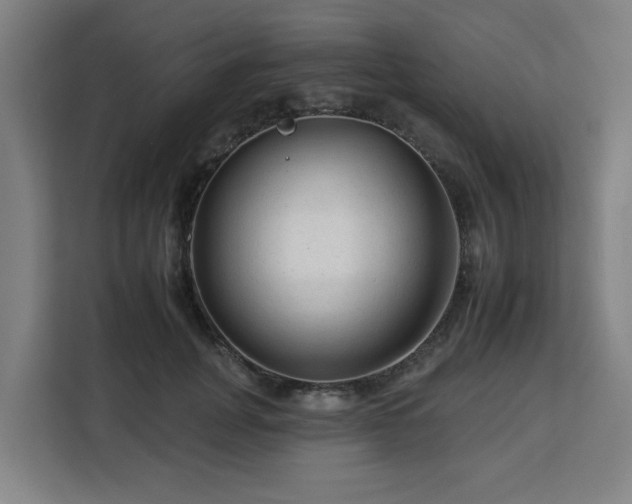 X0000112930751200908311317