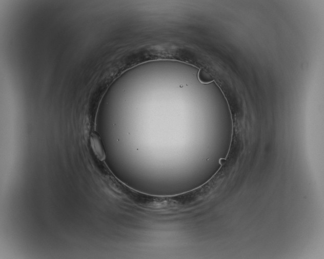 X0000112930752200908311317