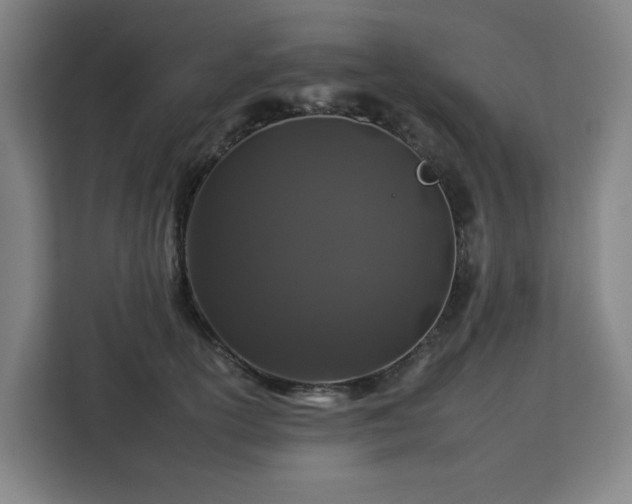 X0000112930754200908311317