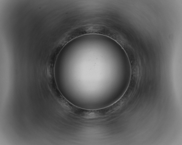 X0000112930755200908311317