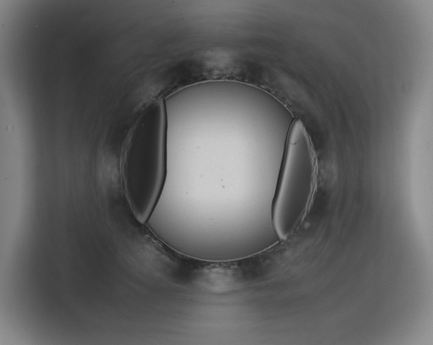 X0000112930756200908311317