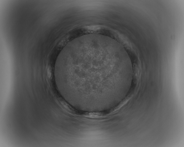 X0000112930758200908311317