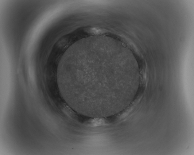 X0000112930762200908311317