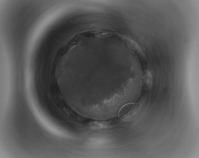 X0000112930763200908311317