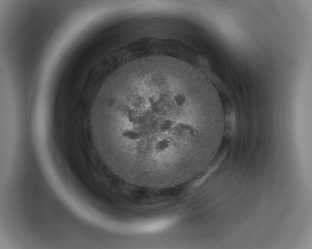 X0000112930765200908311317