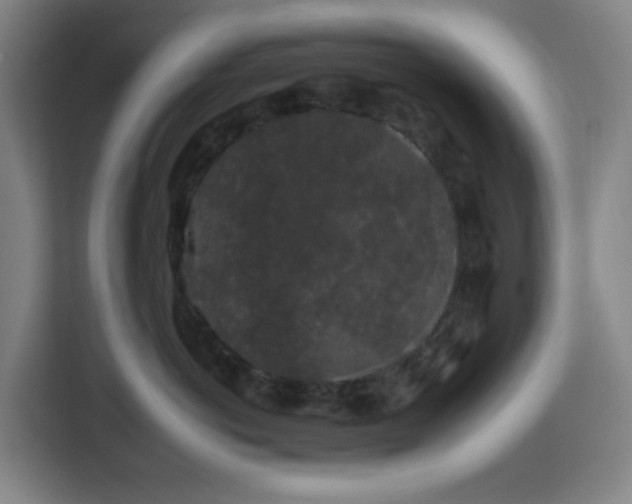 X0000112930766200908311317