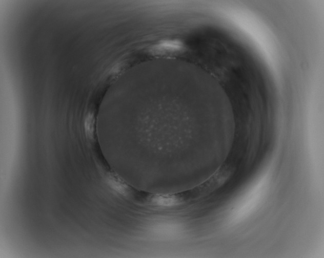 X0000112930767200908311317