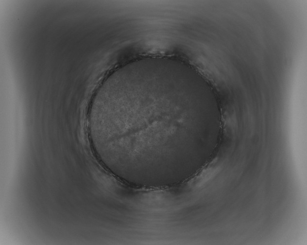 X0000112930769200908311317