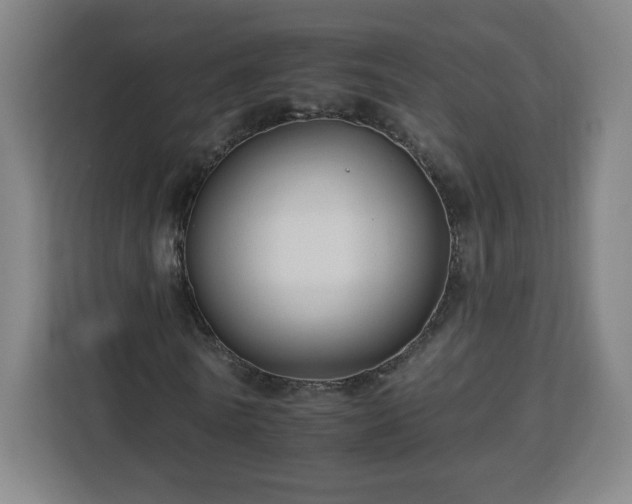 X0000112930770200908311317