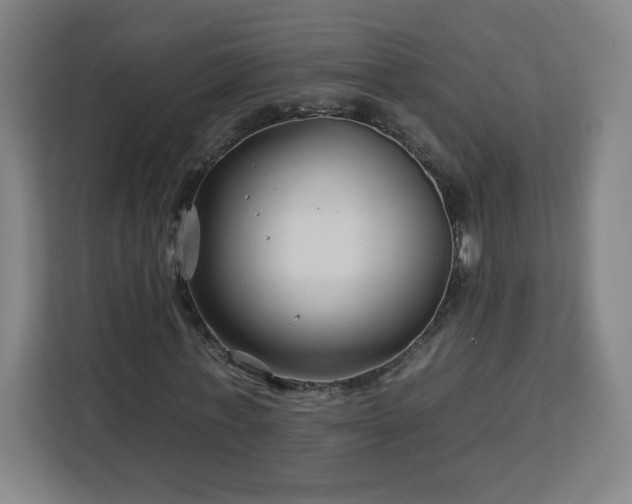 X0000112930771200908311317