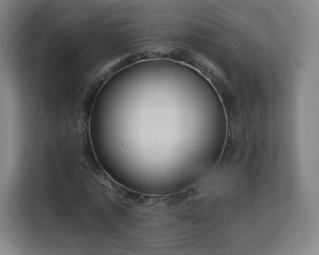 X0000112930773200908311317