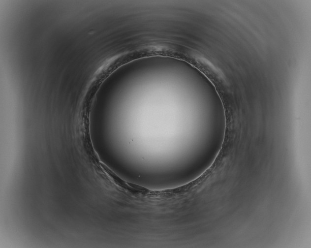 X0000112930776200908311317