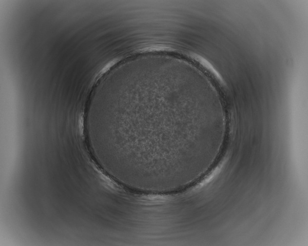 X0000112930777200908311317